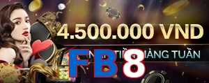 FB8